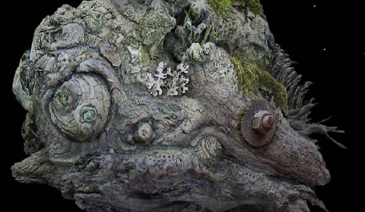 Samorost